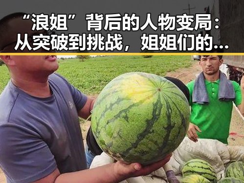 “浪姐”背后的人物变局：从突破到挑战，姐姐们的最新动向揭秘