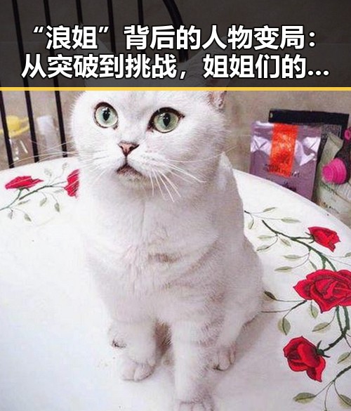“浪姐”背后的人物变局：从突破到挑战，姐姐们的最新动向揭秘
