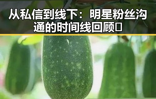 从私信到线下：明星粉丝沟通的时间线回顾✨
