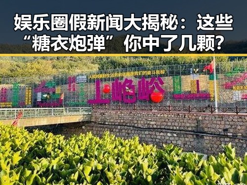 娱乐圈假新闻大揭秘：这些“糖衣炮弹”你中了几颗？